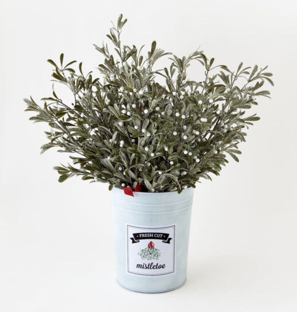 Mistletoe Branches - Individual stems