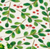 Christmas Botanical Melamine Plates