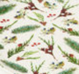 Christmas Botanical Melamine Plates